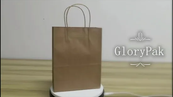 Saco de papel Kraft com alça torcida para embalagem de compras por atacado